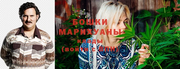 амф Новодвинск
