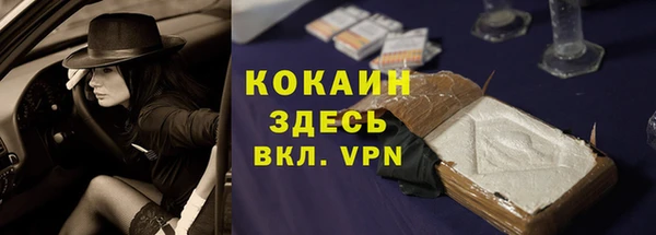 мдпв Новозыбков