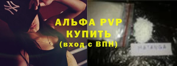 мдпв Новозыбков