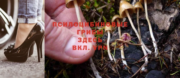мдпв Новозыбков