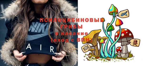 амф Новодвинск