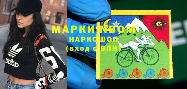мдпв Новозыбков