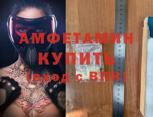 амф Новодвинск
