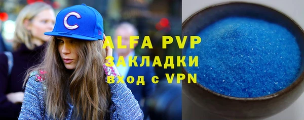 амф Новодвинск